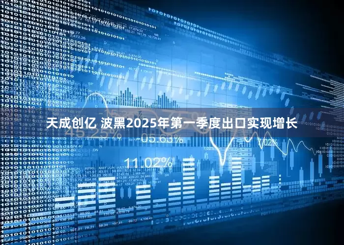 天成创亿 波黑2025年第一季度出口实现增长