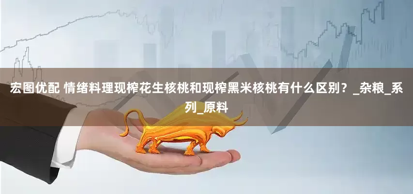 宏图优配 情绪料理现榨花生核桃和现榨黑米核桃有什么区别？_杂粮_系列_原料