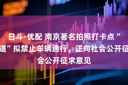 日斗-优配 南京著名拍照打卡点“梧桐大道”拟禁止车辆通行，正向社会公开征求意见